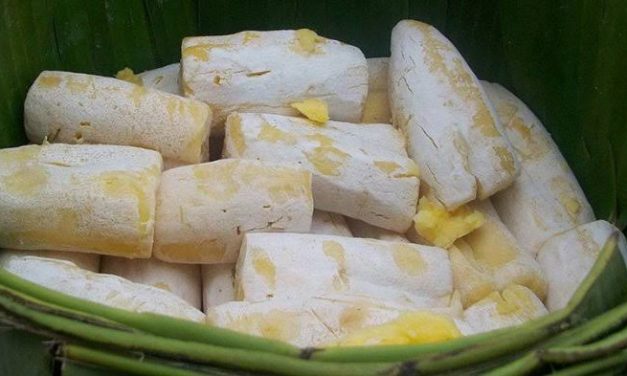 Bahan Dasar Ubi Sebuah Makanan Fermentasi Tape
