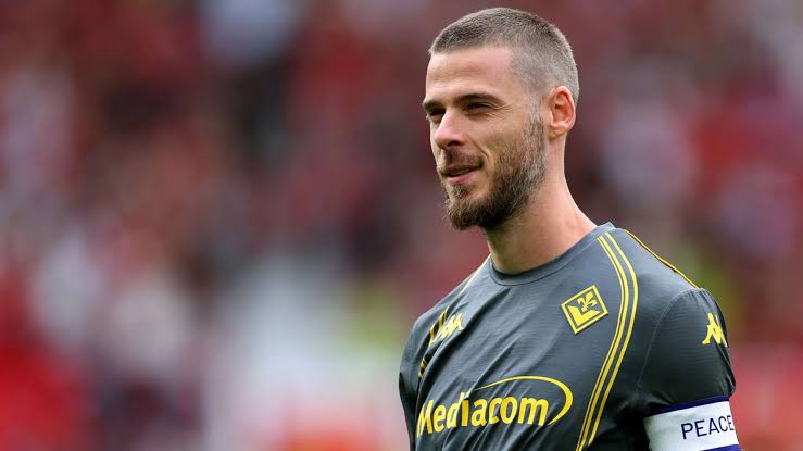 Penjaga Gawang Spanyol Pada Masanya David De Gea
