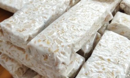 Makanan Fermentasi Tempe Dengan Banyak Olahan